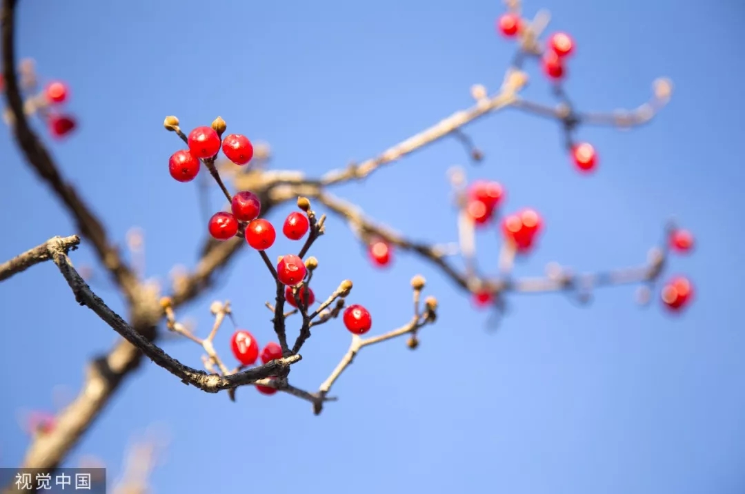 640.webp (12).jpg